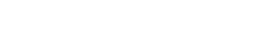 Pinsight